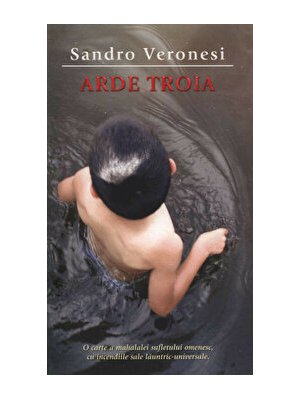 Arde Troia. O carte a mahalalei sufletului omenesc, cu incendiile sale launtric-universale