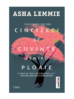 Cincizeci de cuvinte pentru ploaie