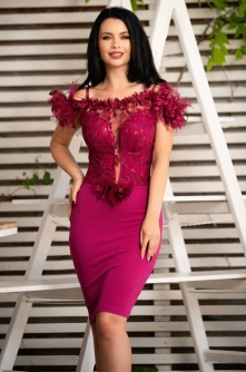Rochie de seara Azaleea cambrata magenta cu broderie pretioasa si fulgi