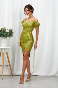 Rochie Sandra Fistic