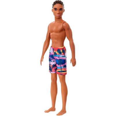 Papusa Barbie Ken, La plaja (GHW44)