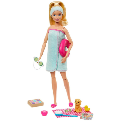 Set de joaca Papusa Barbie cu accesorii Welness GJG55